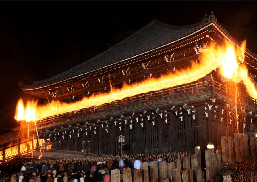 Festival Musim Semi Di Jepang Daruma Nihongo Koshu 