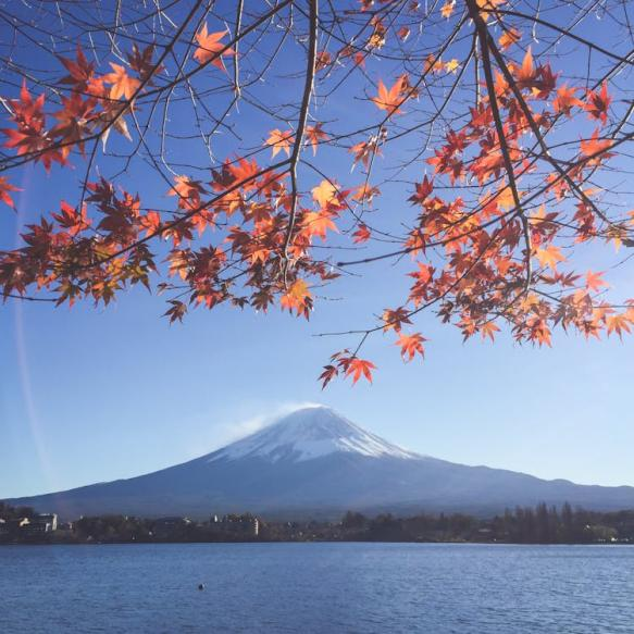 Layar Hitam Tutup Pemandangan Ikonik Gunung Fuji di Lawson