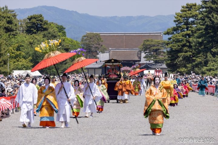 Aoi Matsuri