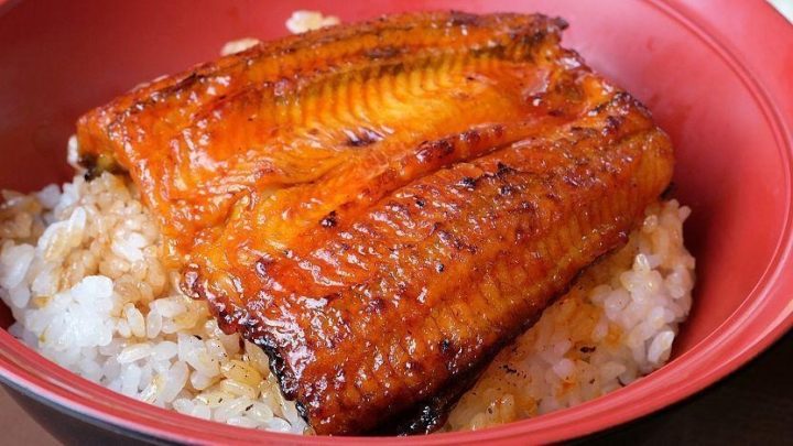 Unagi 
