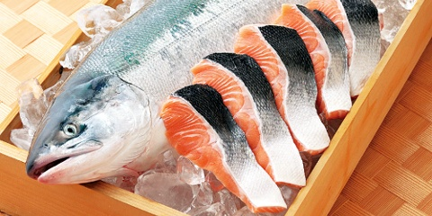 Salmon